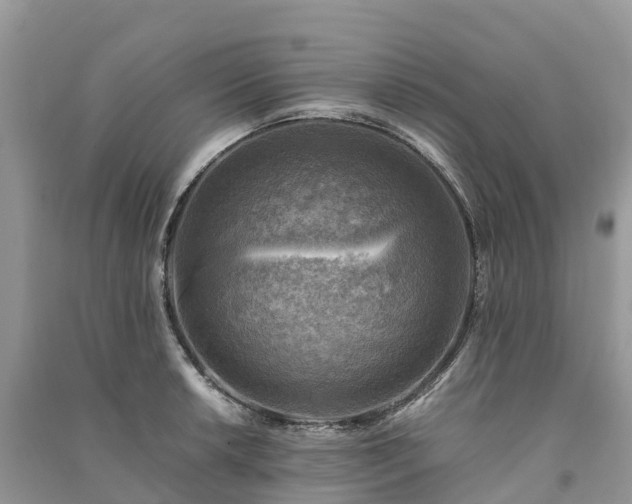 X0000091011042200708091557