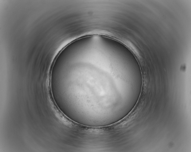 X0000091011044200708091557