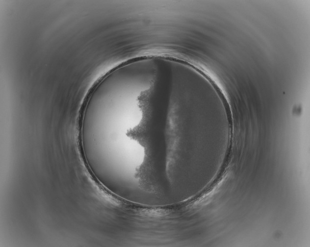 X0000091011045200708091557