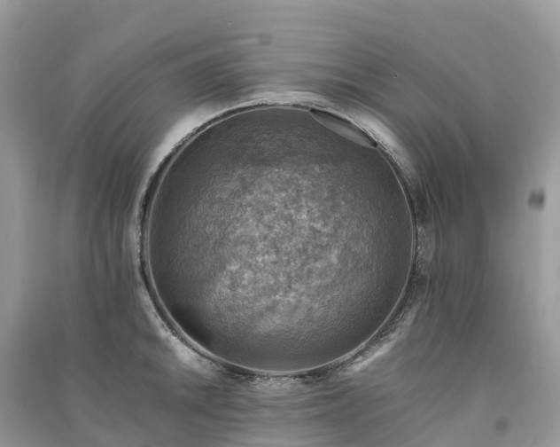 X0000091011046200708091557