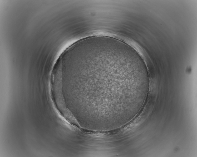 X0000091011048200708091557