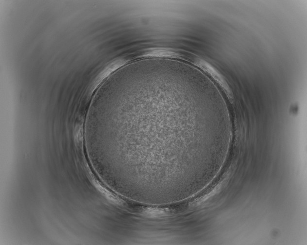 X0000091011049200708091557