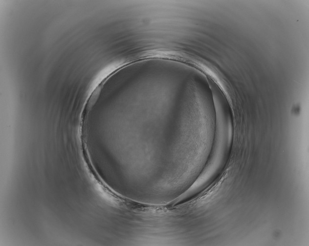 X0000091011050200708091557