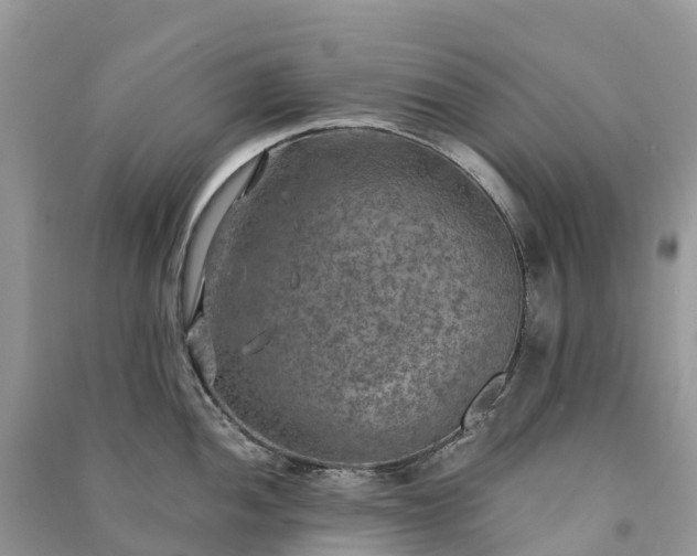 X0000091011052200708091557
