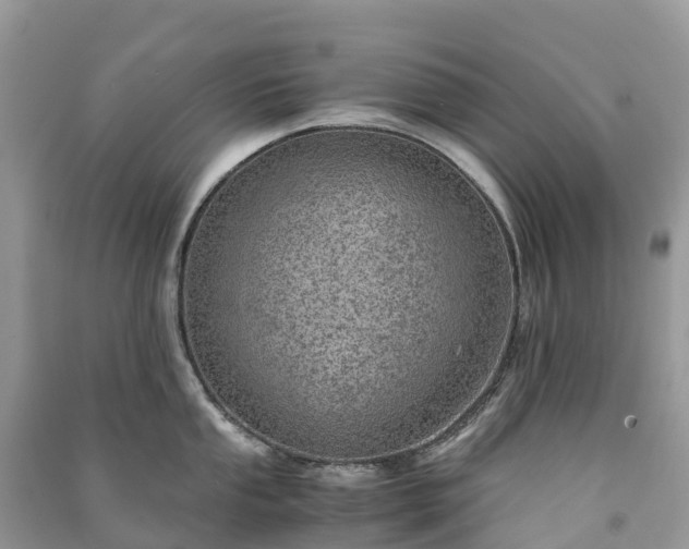 X0000091011053200708091557