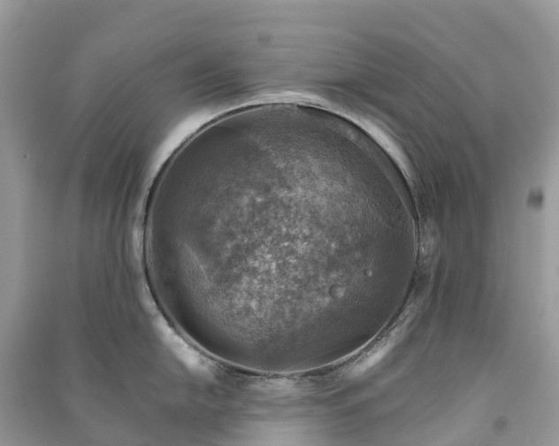 X0000091011054200708091557