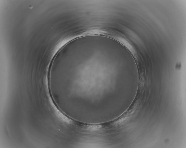 X0000091011055200708091557