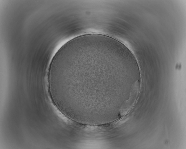 X0000091011056200708091557