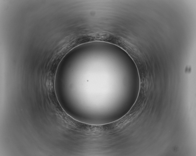 X0000091011058200708091557