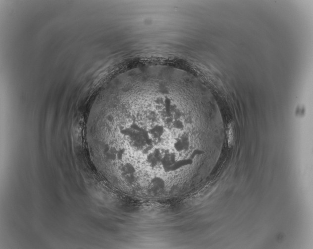 X0000091011059200708091557