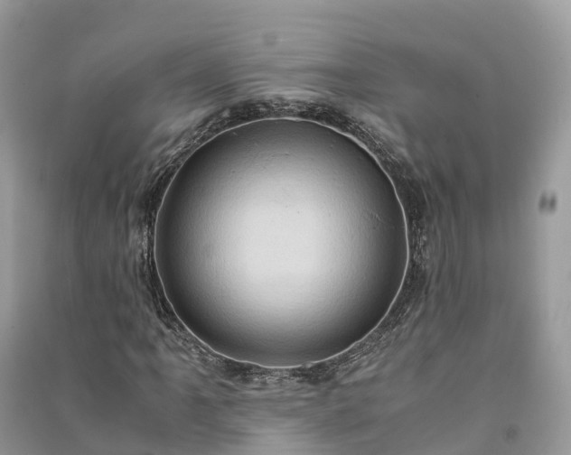 X0000091011061200708091557
