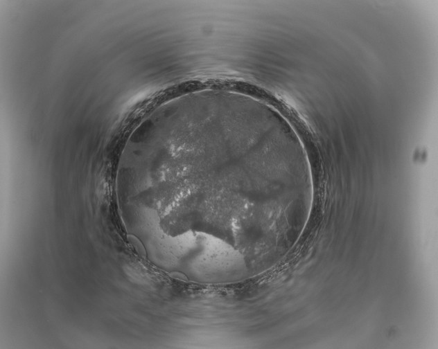 X0000091011063200708091557