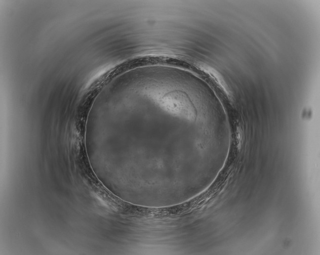 X0000091011064200708091557