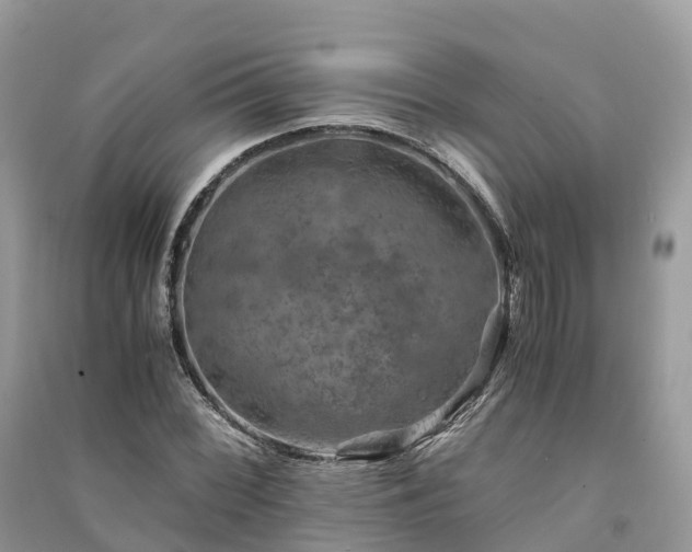 X0000091011068200708091556