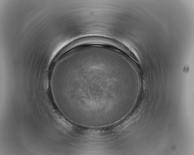 X0000091011069200708091556