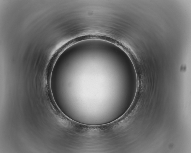 X0000091011070200708091556