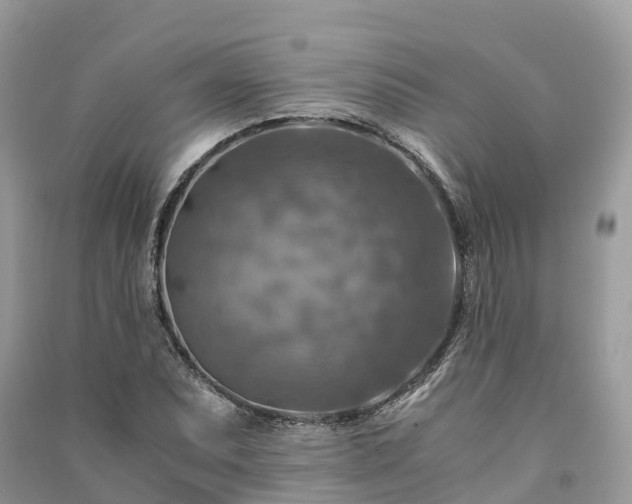 X0000091011071200708091556