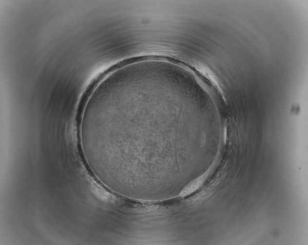 X0000091011072200708091556