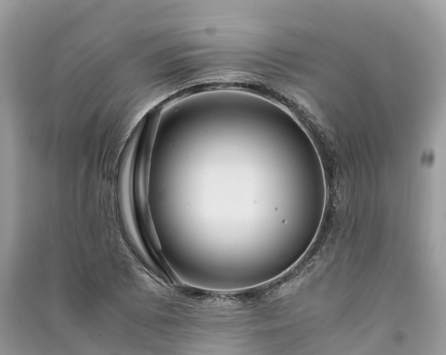 X0000091011073200708091556