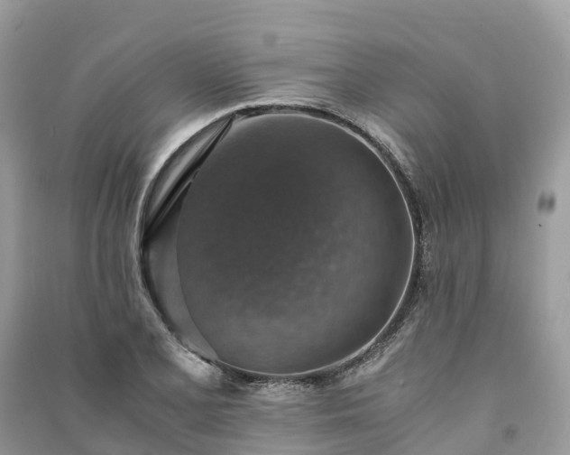 X0000091011077200708091556