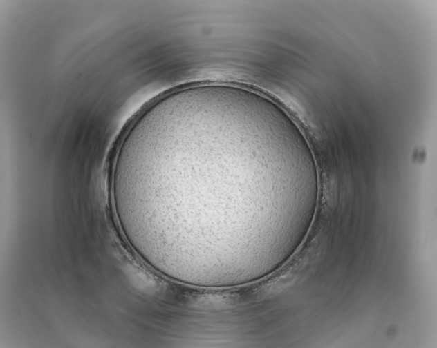 X0000091011078200708091556