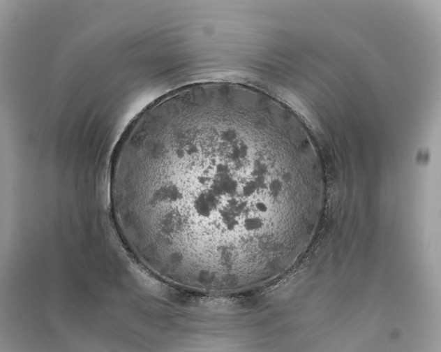 X0000091011079200708091556