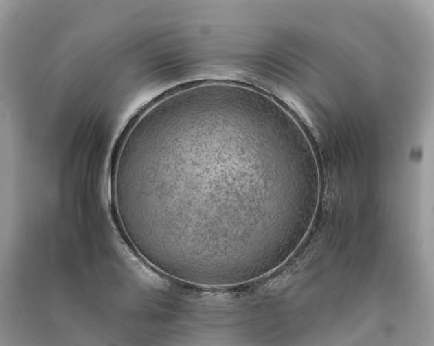 X0000091011080200708091556