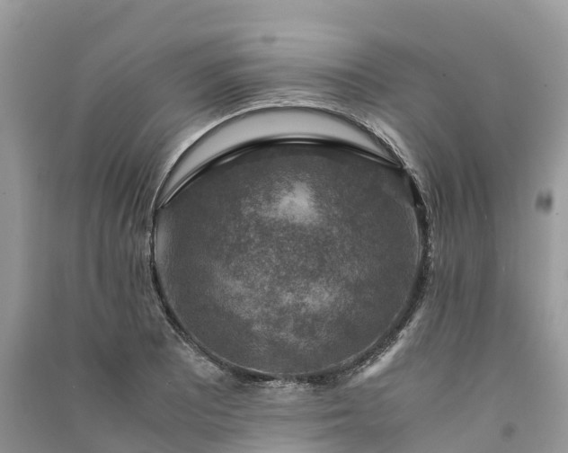 X0000091011081200708091556