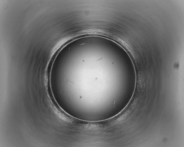 X0000091011082200708091556