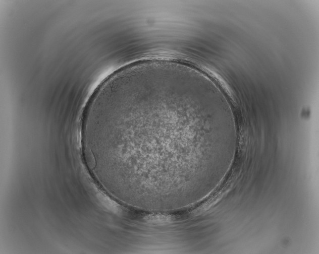X0000091011083200708091556