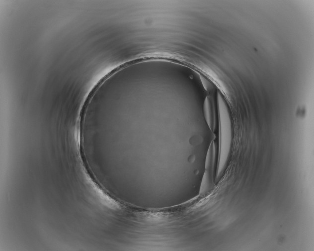 X0000091011084200708091556