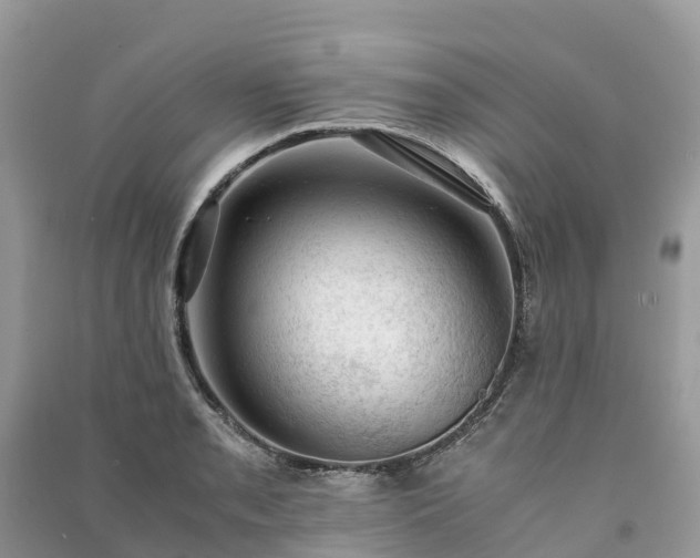 X0000091011085200708091556