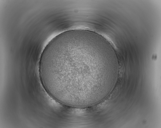 X0000091011086200708091556