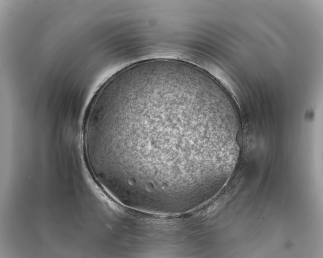 X0000091011088200708091556