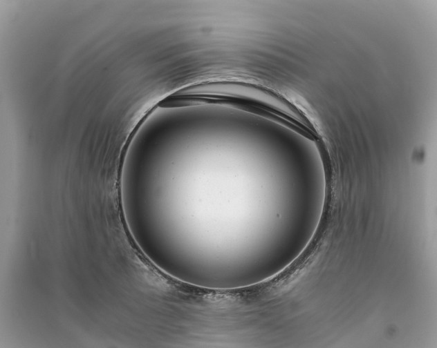 X0000091011089200708091556