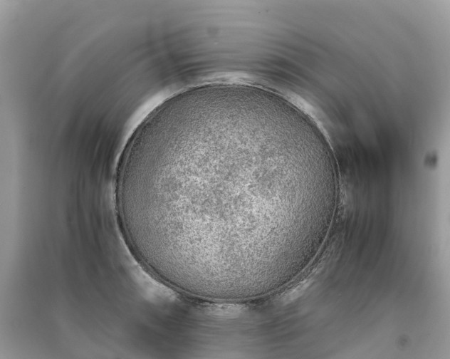 X0000091011090200708091556