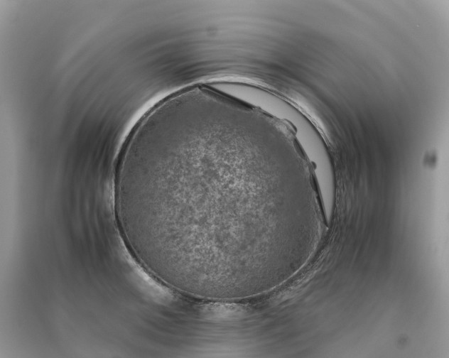 X0000091011092200708091556