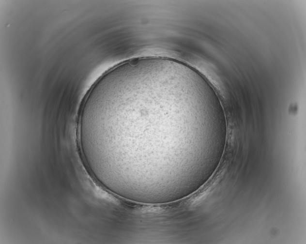 X0000091011094200708091556