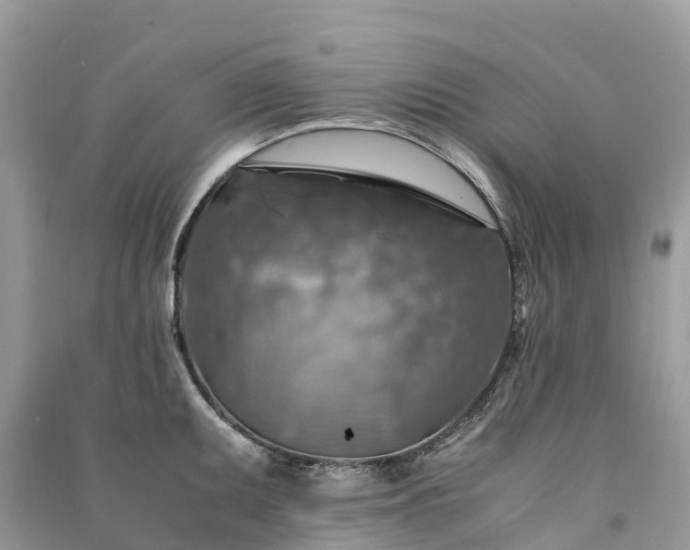 X0000091011095200708091556