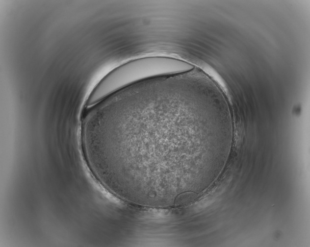 X0000091011096200708091556