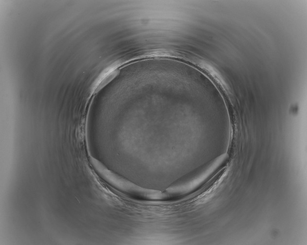 X0000091011097200708091556