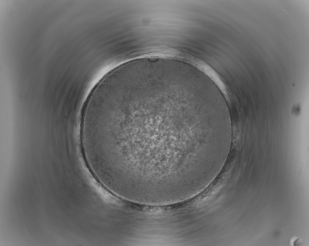 X0000091011099200708091556