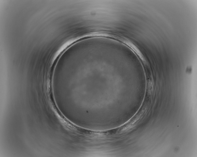 X0000091011101200708091556