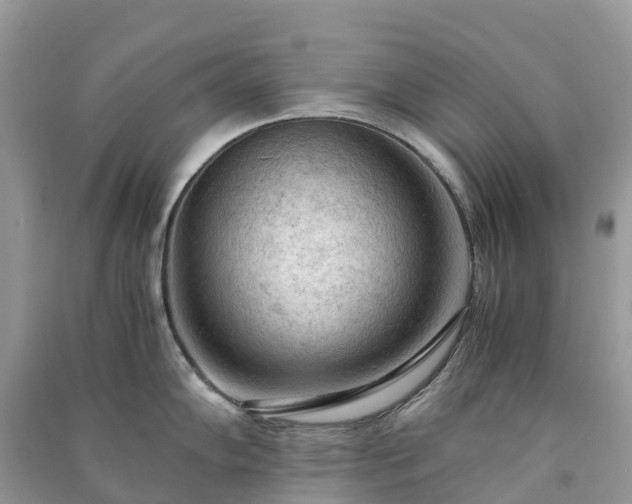 X0000091011102200708091556