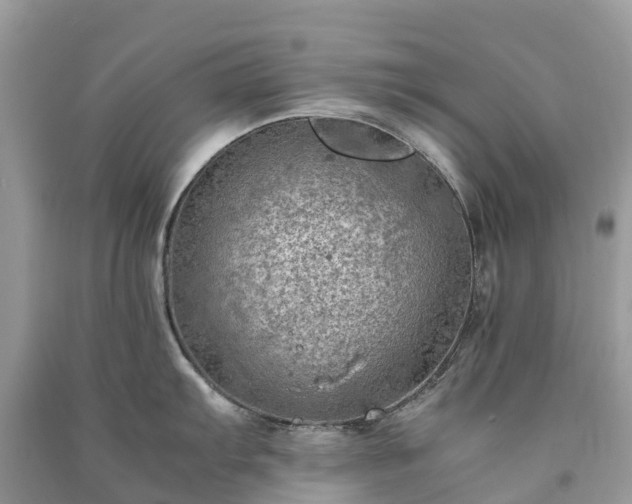 X0000091011103200708091556