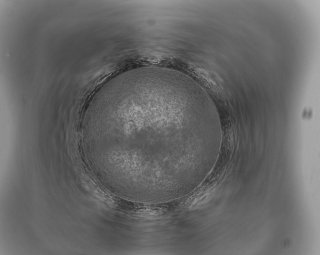 X0000091011105200708091555