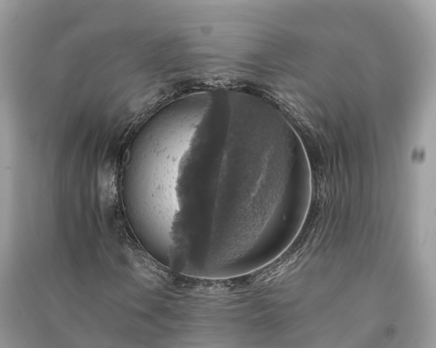 X0000091011106200708091555