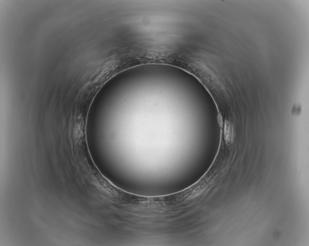 X0000091011107200708091555
