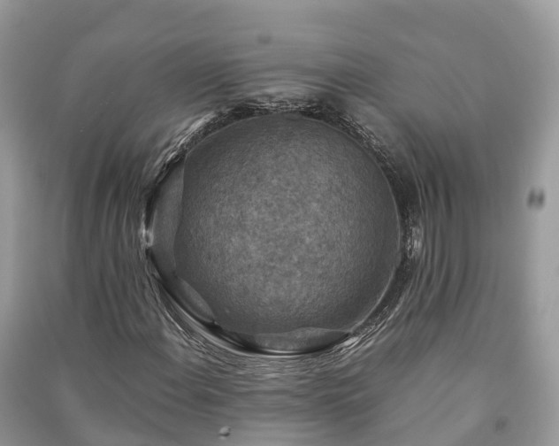 X0000091011108200708091555