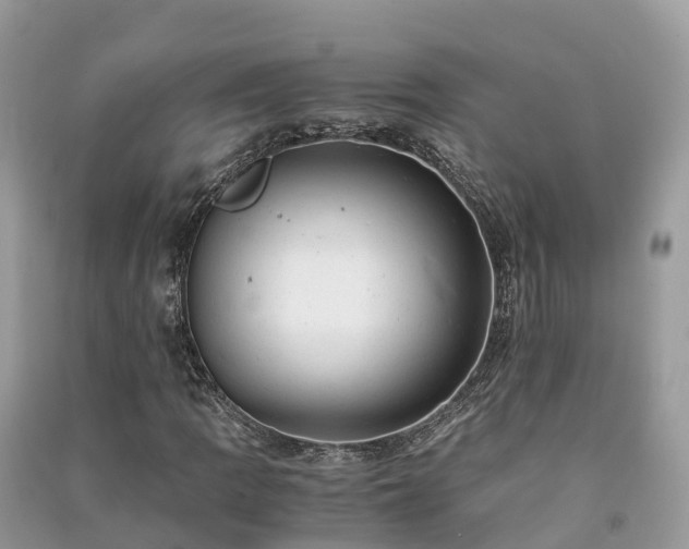 X0000091011109200708091555